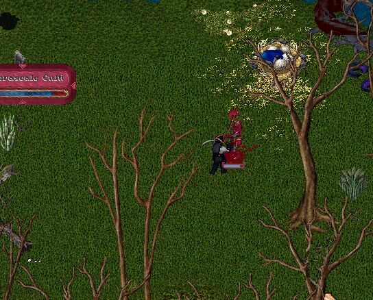 2026y01m11d_162401026