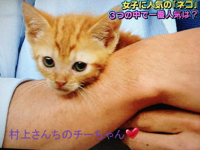 これが噂の可愛い子 村上信五 溺愛症候群