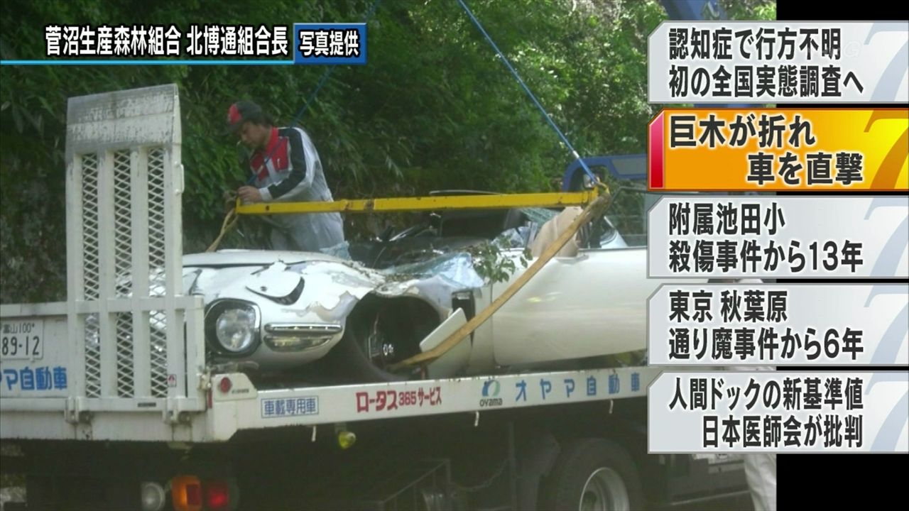 貴重な00gtが倒木の下敷きになり廃車 カー速 2ch車 バイク情報まとめブログ 貴重な00gtが倒木の下敷きになり廃車 カー速 2ch車 バイク情報まとめブログ