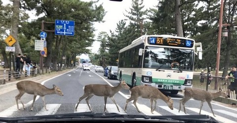 5db29dca684e2-600x313