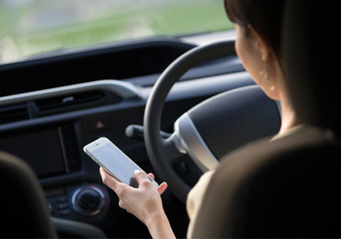 20190210_nagaraunten_main