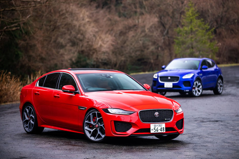 img_d1d5b08d0427a6b1241e844fcd8b0d79266505