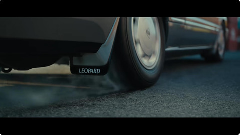 leopard
