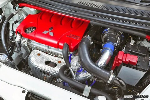 BLITZ-Photo.0002colt