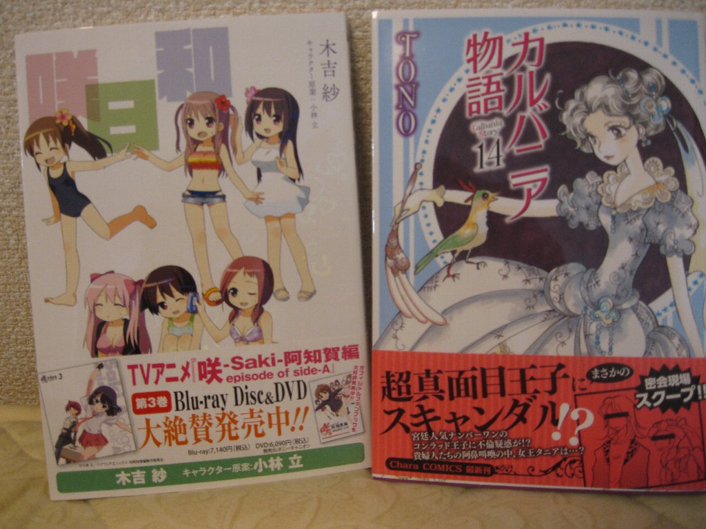 購入 カルバニア物語14 咲日和2 ここは関東 山梨の日々 購入 カルバニア物語14 咲日和2 ここは関東 山梨の日々