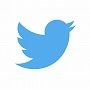 90s-TwitterLogo_#55acee