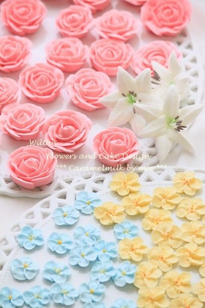 Wilton2 Flowes and Cake Design