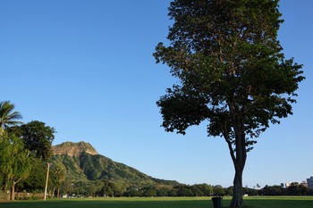 IMGP0942