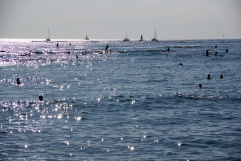 IMGP0921
