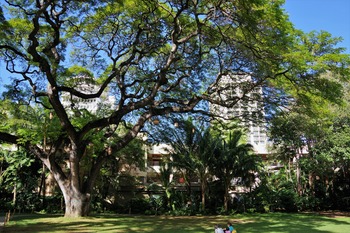 IMGP0905