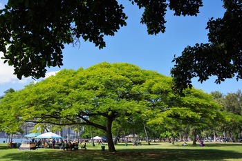 IMGP0887
