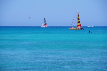 IMGP0821
