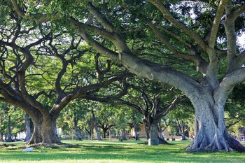 IMGP0929