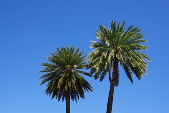 IMGP0857