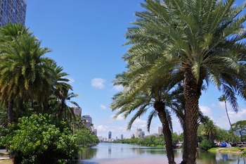 IMGP0842