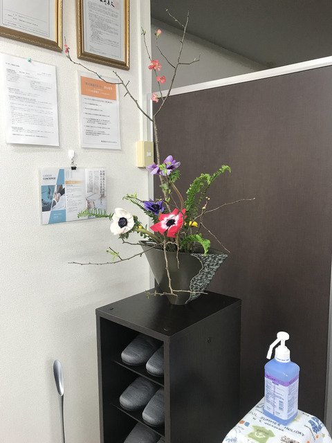 210301ccg_flower