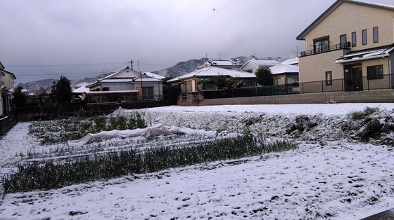 雪の朝2