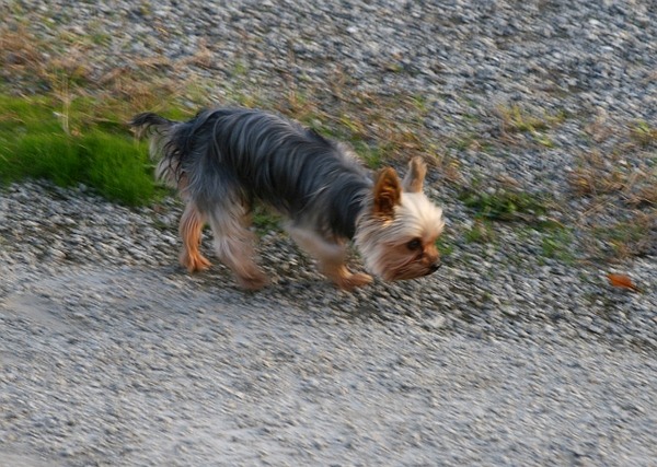 shiku20071114