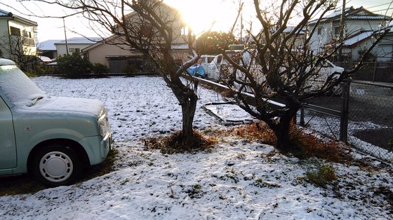 雪の朝3
