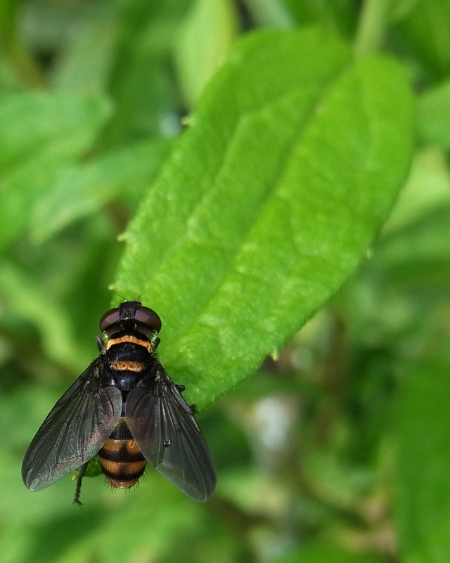 a3d7644b.jpg