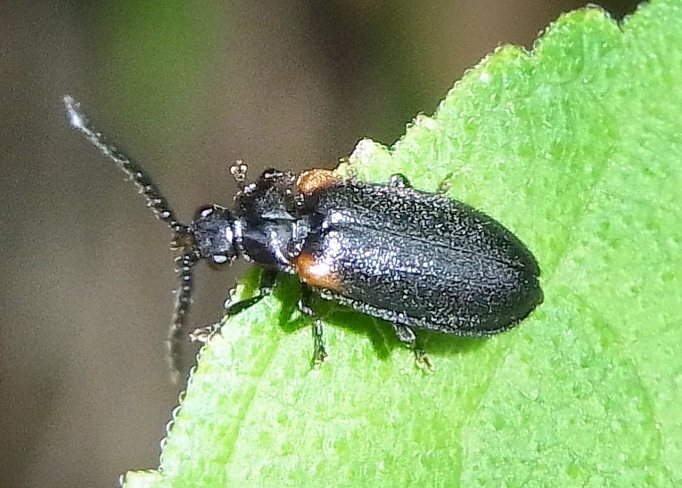 84d68e47.jpg