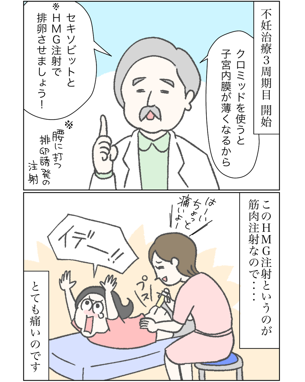 不妊治療日記３９ カーリーの日記 国際結婚して見えた世界 Powered By ライブドアブログ