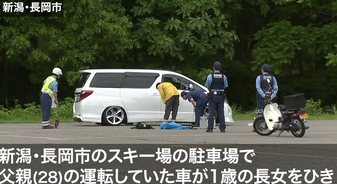自慢のシャコタン アルファード 一転して我が子 娘 を殺す凶器へ 新潟 長岡市 News Car Multi Information