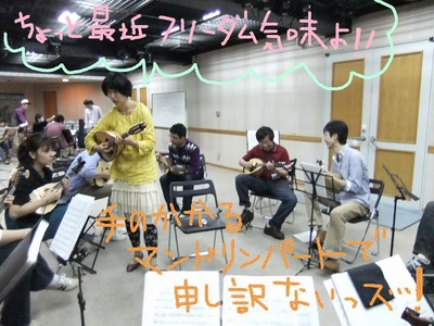 mandolin_111008_03
