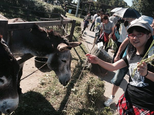 carnival_chorus_20150922_011