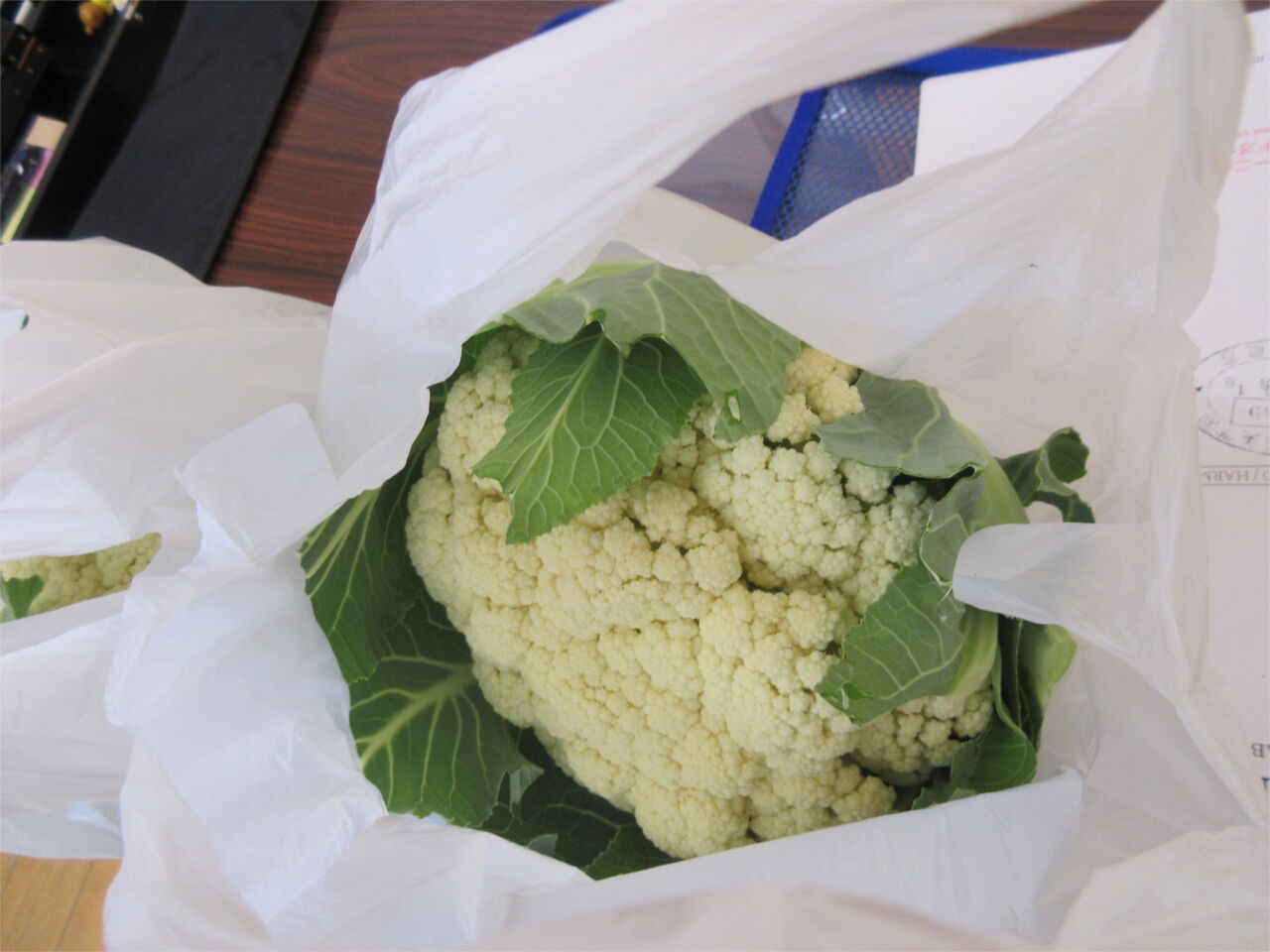 5E4E639F-60B9-4731-A04E-DAED51EB5DBA