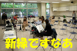 IMGP4122のコピー