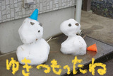 �椭�����