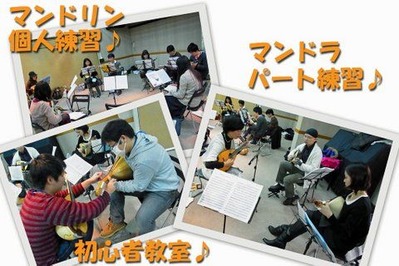 mandolin_110108-��������1
