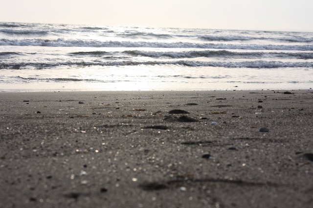 mandolin_¹ç½É-2³¤