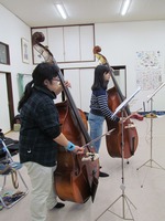 mandolin_5