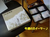 �ޥ�ɥ��050813���ͣ�