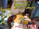 �ޥ�ɥ��060909��M4