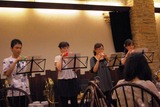 wind0904���գ�