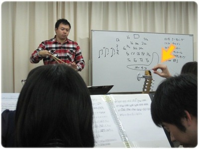 mandolin_111126_8