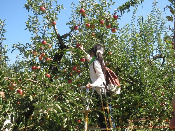 carnival_chorus_20150922_007