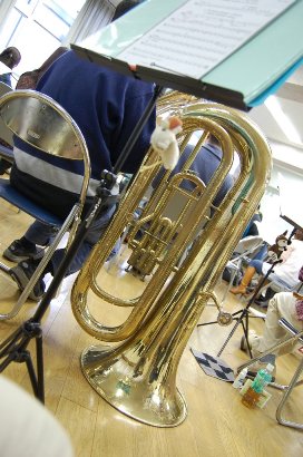 tuba1