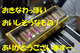 IMGP0227�Υ��ԡ�