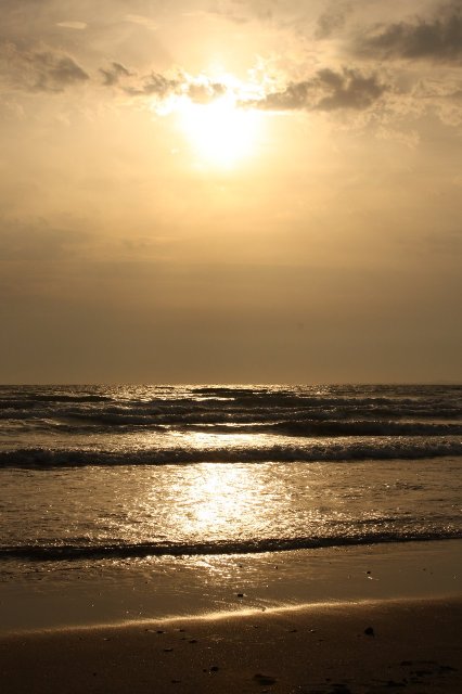 mandolin_¹ç½É-3³¤