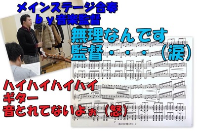mandolin_110115-����