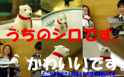 w0411-inu