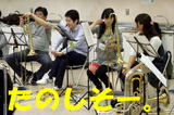 IMGP4133のコピー