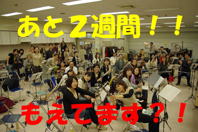 wsyo