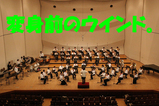 wñ�ȣ���������