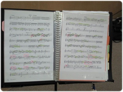 mandolin_111112_11