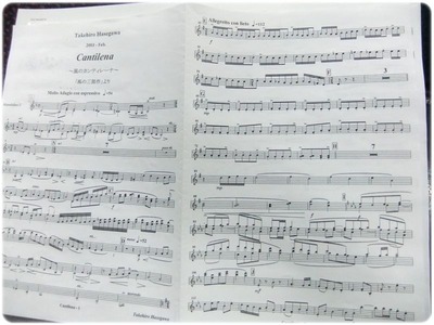 mandolin_120114_1